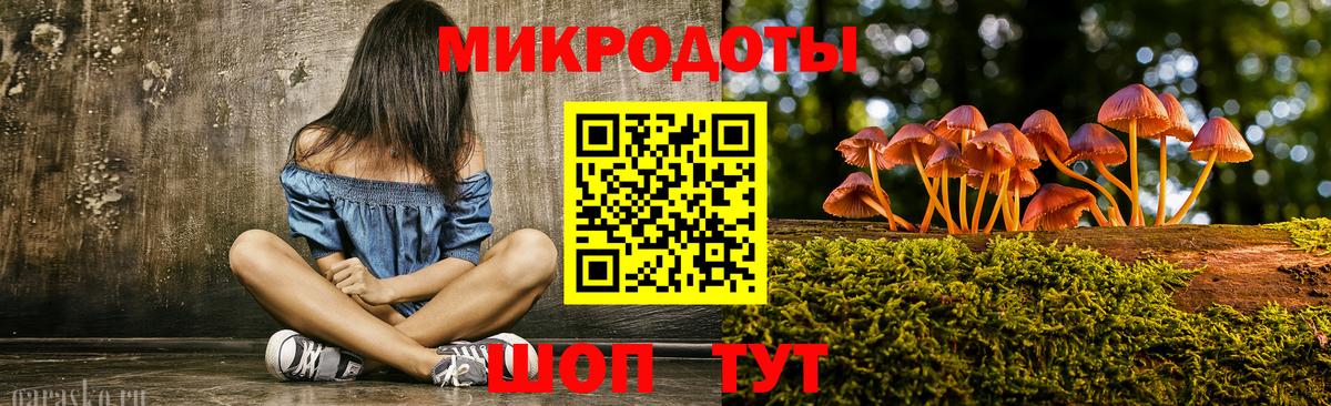 Северобайкальск  Галлюциногенные грибы прущие грибы  наркотики  Вход с VPN 