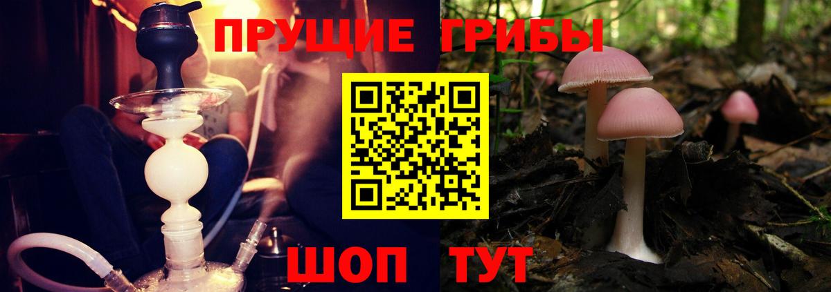Псилоцибиновые грибы Magic Shrooms Северобайкальск